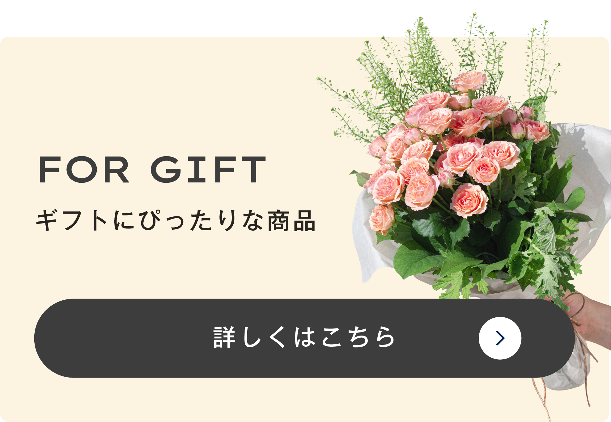 ギフトをもっと見る