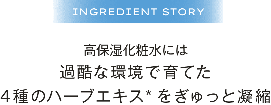 過酷な環境で育てた4種のハーブエキスを“ぎゅっ”と凝縮