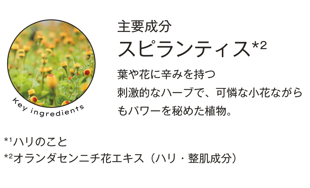 主要成分「スピランティス」 葉や花に辛みを持つ刺激的なハーブで、可憐な小花ながらもパワーを秘めた植物。*¹ハリのこと*²年齢に応じたお手入れを行いながら肌を整えるスキンケアのこと