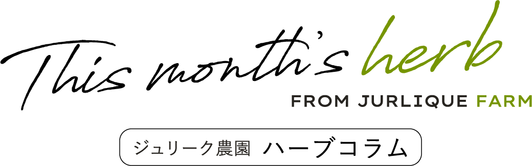 ジュリーク農園ハーブコラム