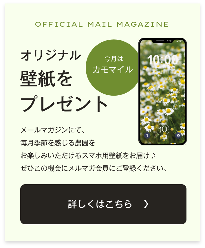 メルマガ誘導
