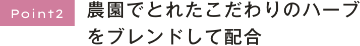 肌悩みに合わせてブレンドしたハーブがたっぷり！