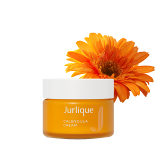 ピカっとお肌整えセット使い