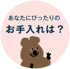 おすすめセット使い提案