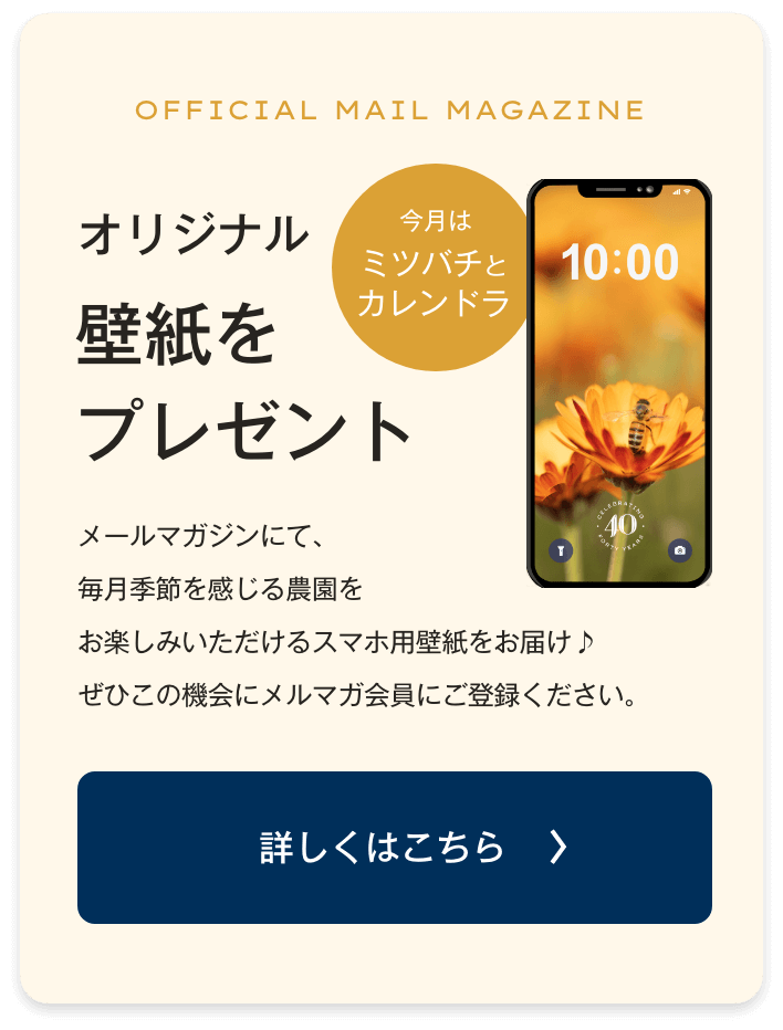 メルマガ誘導
