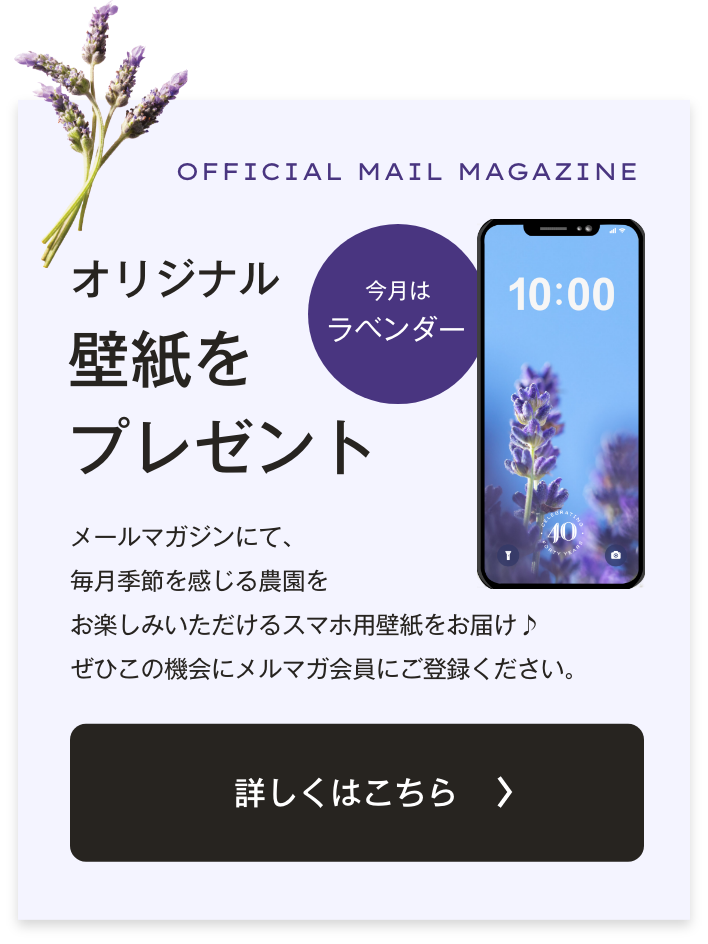 メルマガ誘導