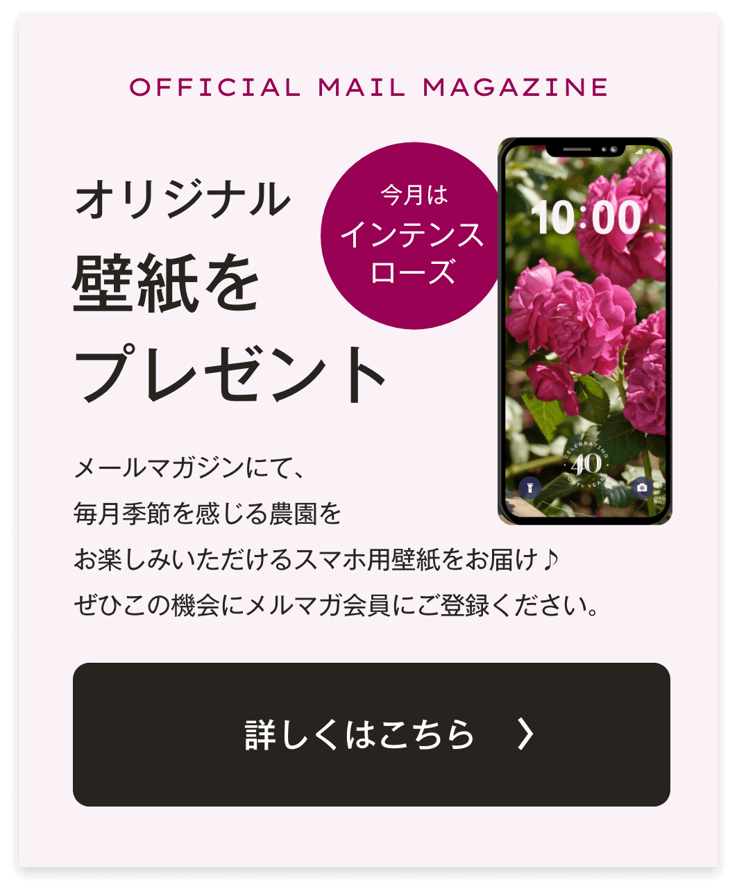 メルマガ誘導