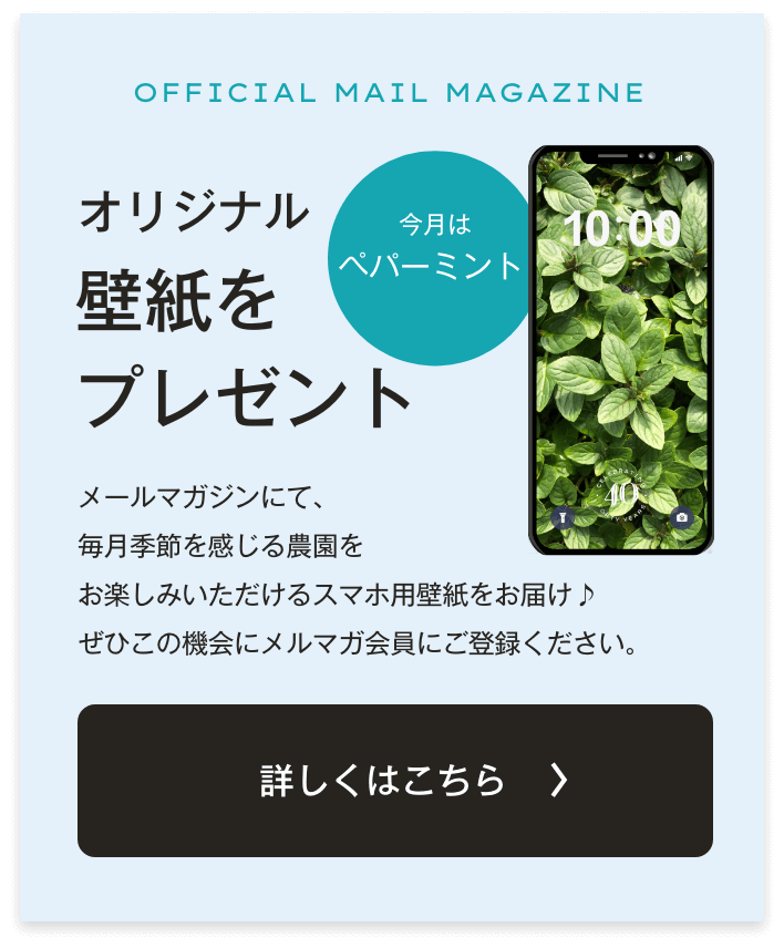 メルマガ誘導