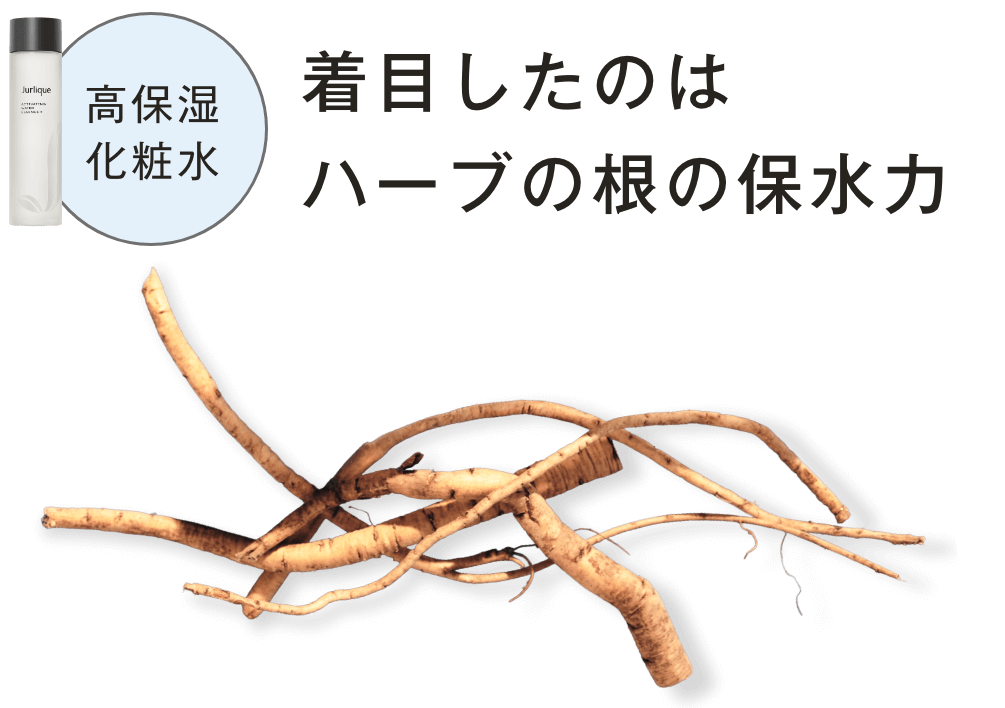 着目したのはハーブの根の保水力
