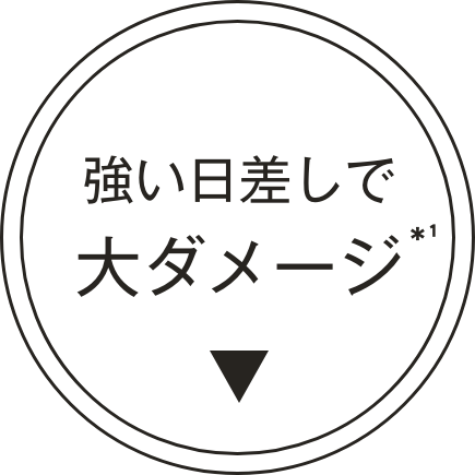 強い日差しで大ダメージ