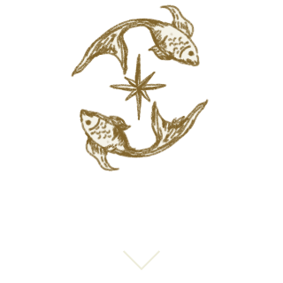 星座別アクション