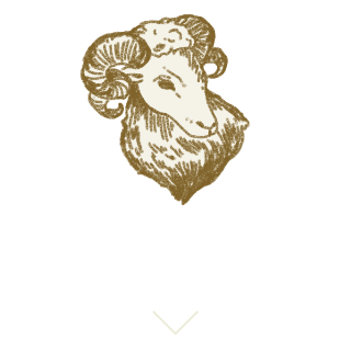 星座別アクション