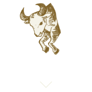 星座別アクション