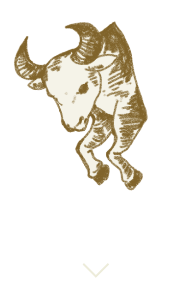 牡牛座