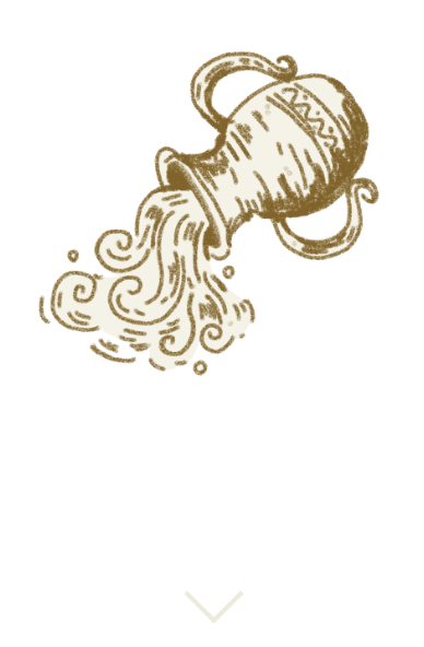 水瓶座