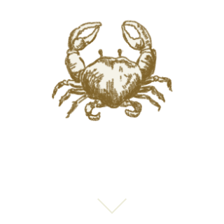 星座別アクション