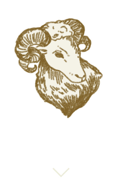 牡羊座