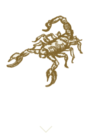 蠍座