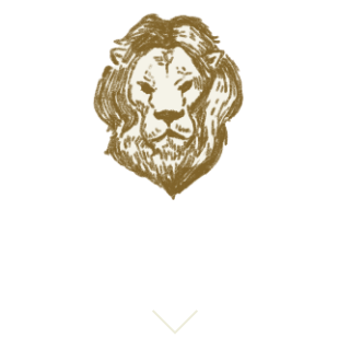 星座別アクション