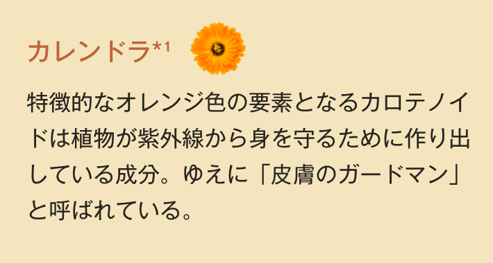 カレンドラ 特徴的なオレンジ色の要素となるカロテノイドは植物が紫外線から身を守るために作り出している成分。ゆえに「皮膚のガードマン」と呼ばれている。