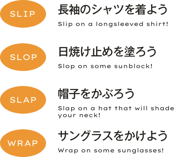 Slip,Slop,Slap,Wrap