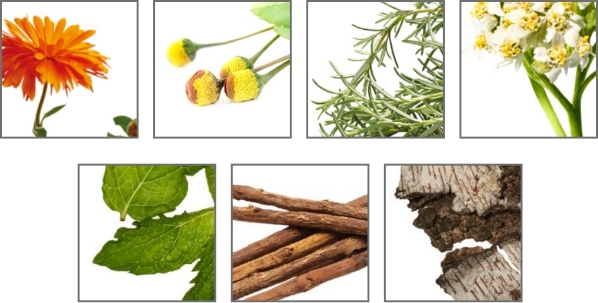 セブンハーブミックス