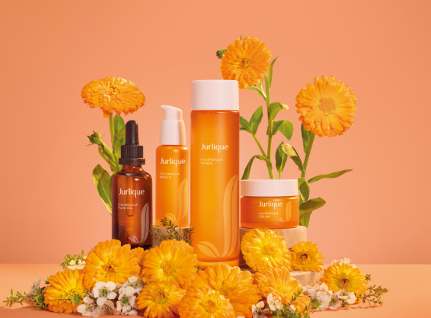 おすすめのコレクション