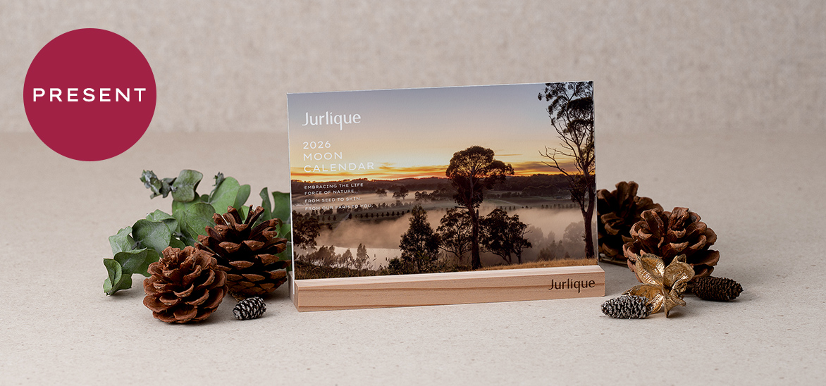 プレゼント画像