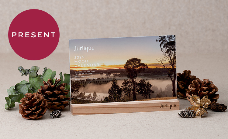 プレゼント画像