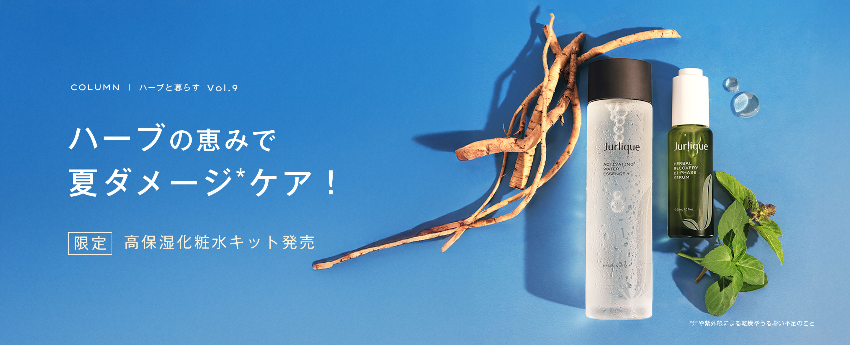 ハーブの恵みで夏ダメージケア
