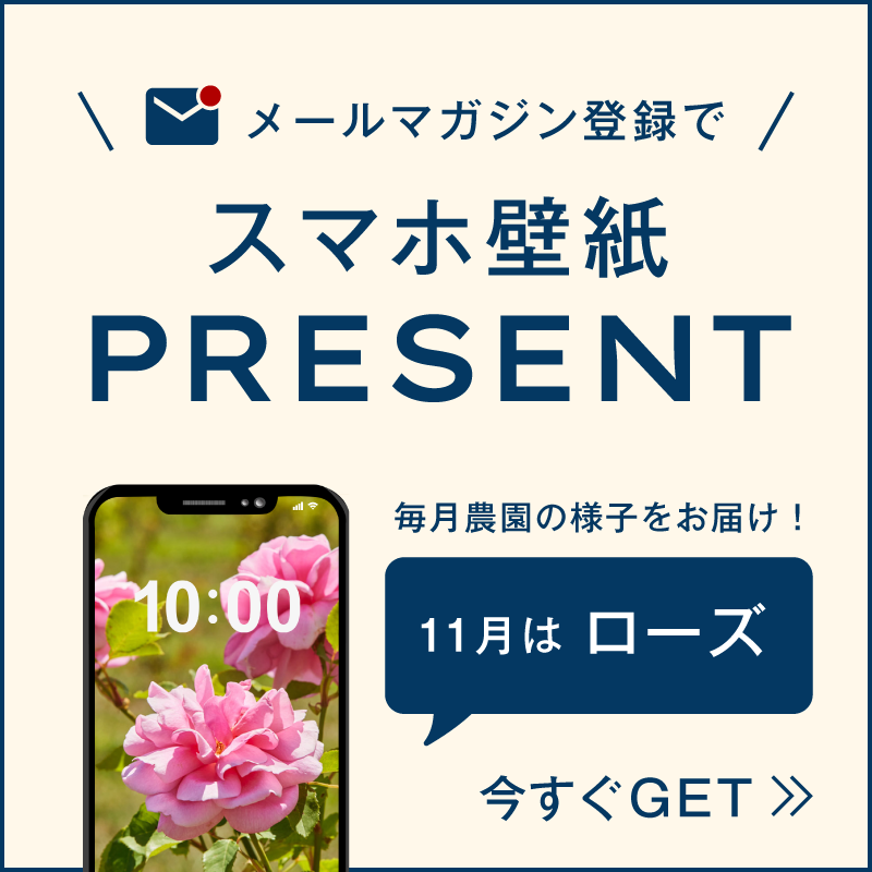 壁紙プレゼント