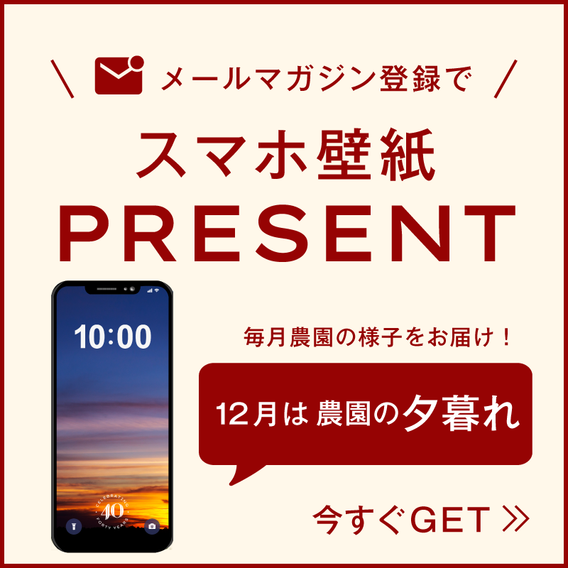 壁紙プレゼント