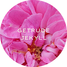 ガートルード・ジェキル