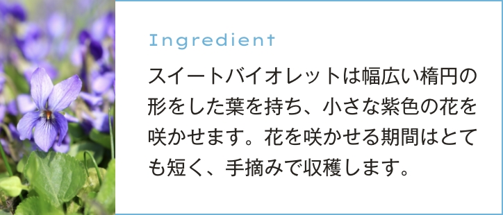 スイートバイオレットは幅広い楕円の形をした葉を持ち、小さな紫色の花を咲かせます。花を咲かせる期間はとても短く、手摘みで収穫します。