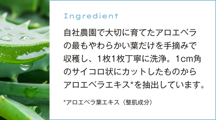 自社農園で大切に育てたアロエベラの最もやわらかい葉だけを手摘みで収穫し、1枚1枚丁寧に洗浄。1cm角のサイコロ状にカットしたものからアロエベラエキス*を抽出しています。
