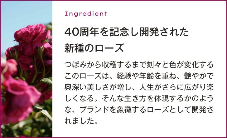 つぼみから収穫するまで刻々と色が変化するこのローズは、経験や年齢を重ね、艶やかで奥深い美しさが増し、人生がさらに広がり楽しくなる。そんな生き方を体現するかのような、ブランドを象徴するローズとして開発されました。