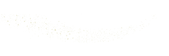 ジュリークのホリデー