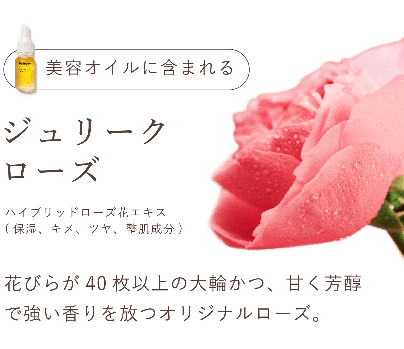 ジュリークローズ