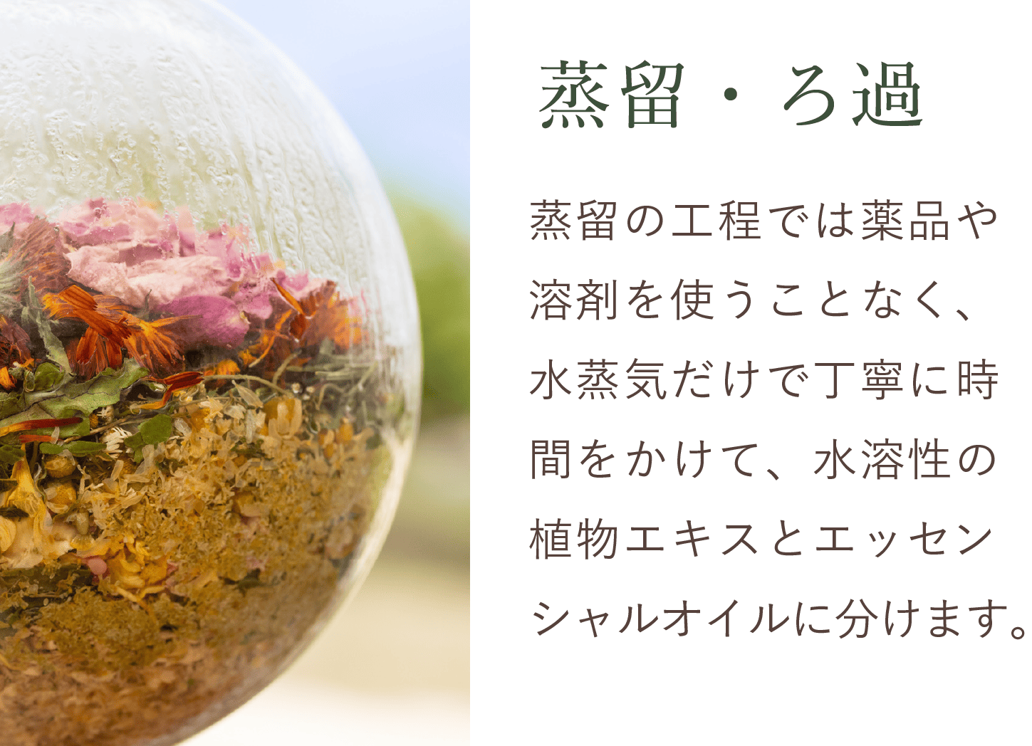 蒸留・ろ過