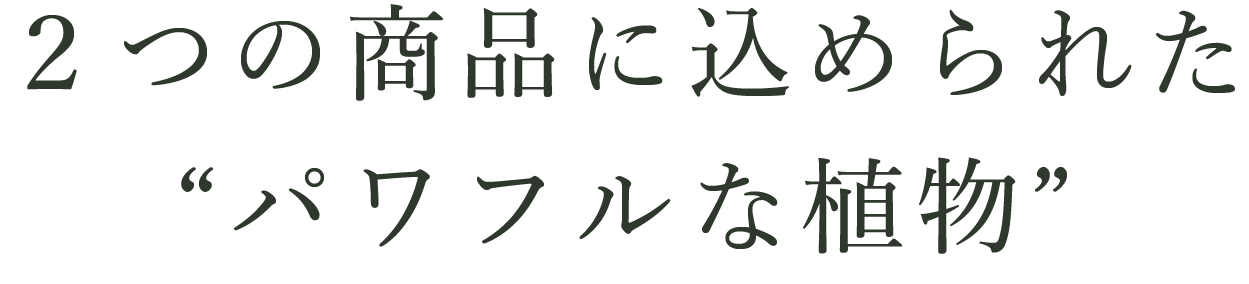２つの商品に込められた“パワフルな植物”