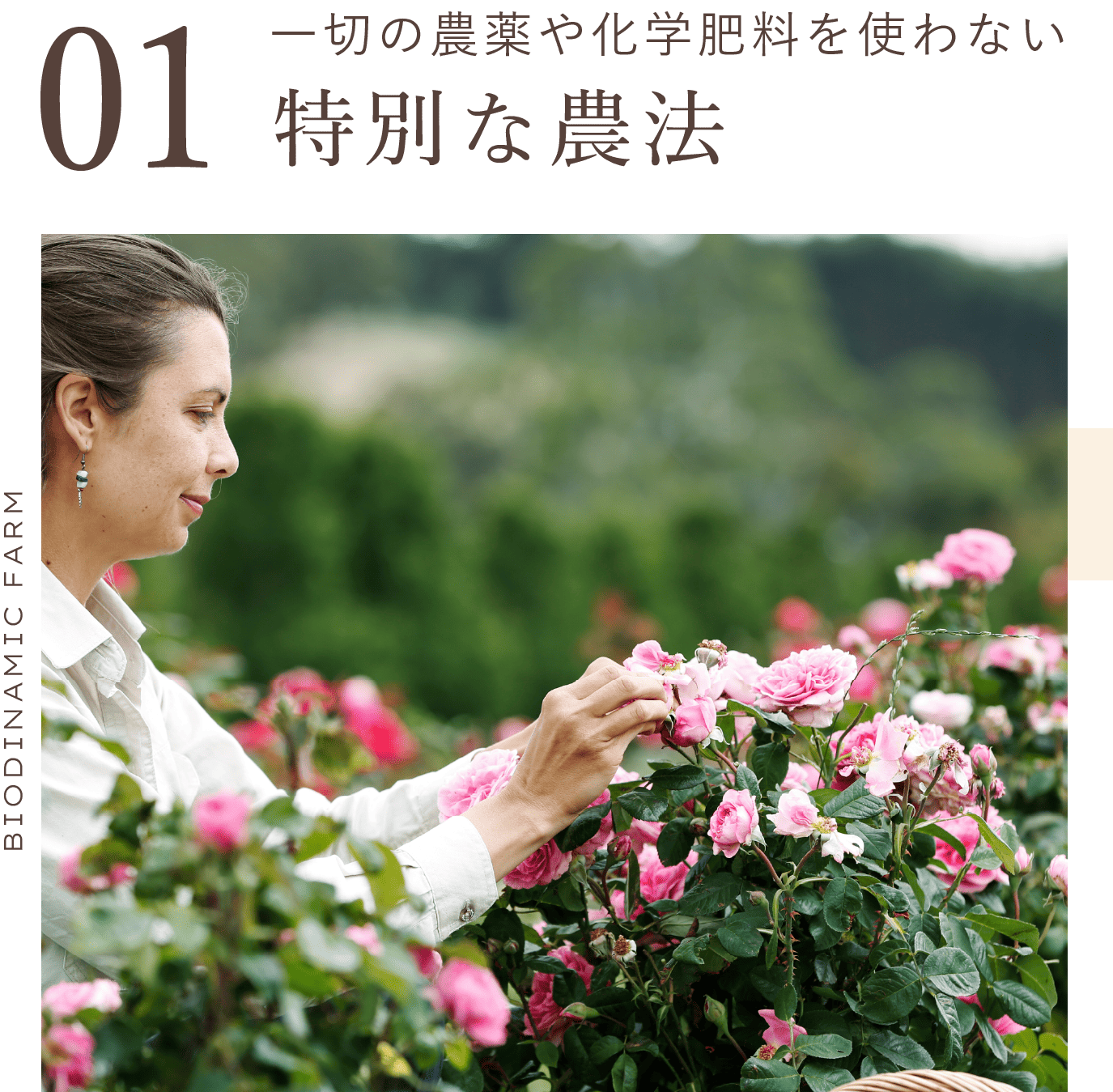 一切の農薬や化学肥料を使わない特別な農法