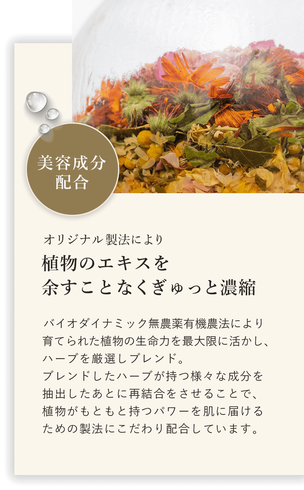 オリジナル製法により植物のエキスを余すことなくぎゅっと濃縮 バイオダイナミック無農薬有機農法により育てられた植物の生命力を最大限に活かし、ハーブを厳選しブレンド。ブレンドしたハーブが持つさまざまな成分を抽出した後に再結合をさせることで、植物が元々もつパワーを肌に届けるための製法にこだわり配合しています。