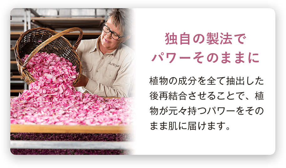 植物の成分を全て抽出した後再結合させることで、植物が元々持つパワーをそのまま肌に届けます。