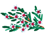 デコレーション